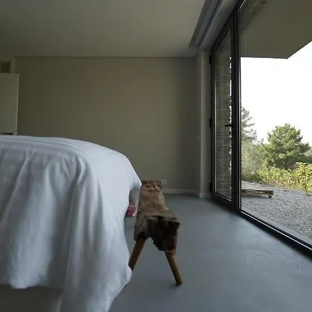 Zab Living Bed and breakfast Vila de Rei