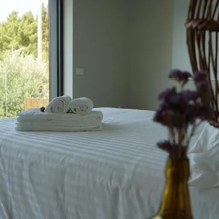Zab Living Vila de Rei