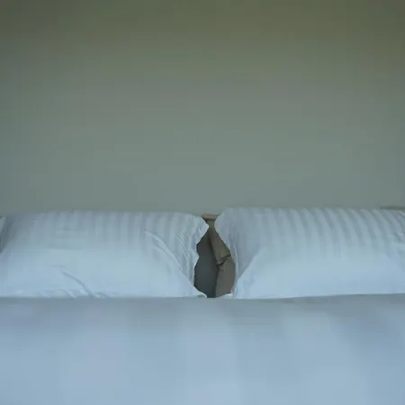 Nocleg ze śniadaniem Zab Living 3*