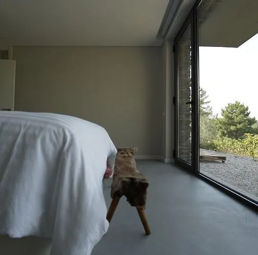 Zab Living Отель типа 