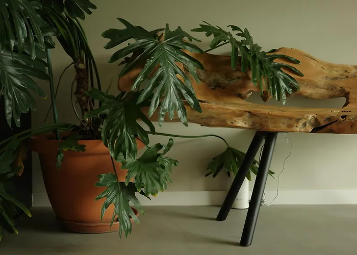 Zab Living فندق مبيت وإفطار